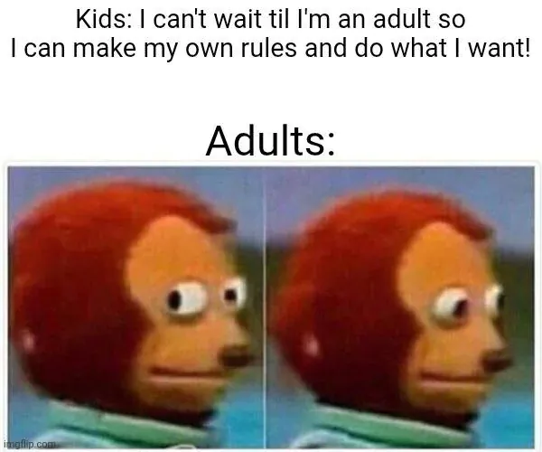 Kids: I can't wait til I'm an adult so I can make my own rules and do what I want! / Adults