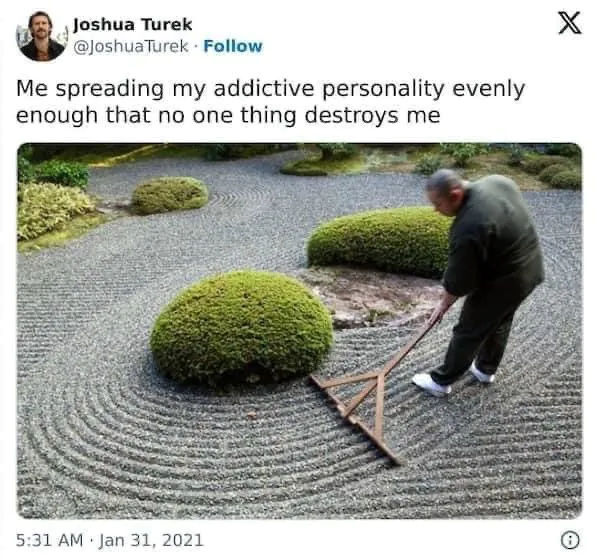 Me spreading my addictive personality evenly enough that no one thing destroys me