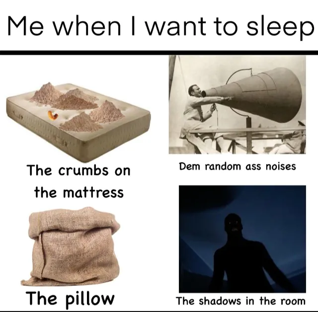 Me when I want to sleep / The crumbs on the mattress / Dem random ass noises / The pillow / The shadows in the room