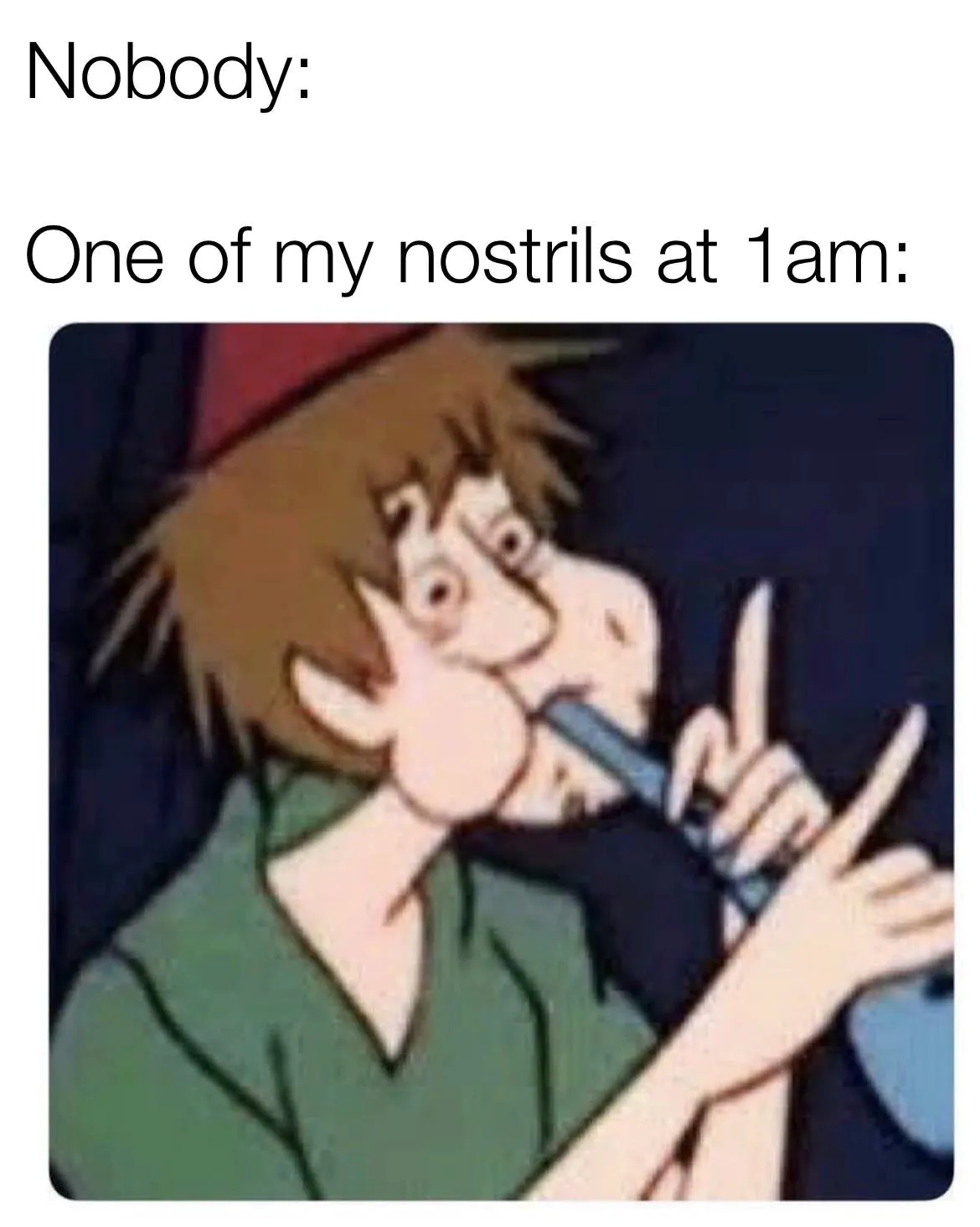 One of my nostrils at 1am funny meme