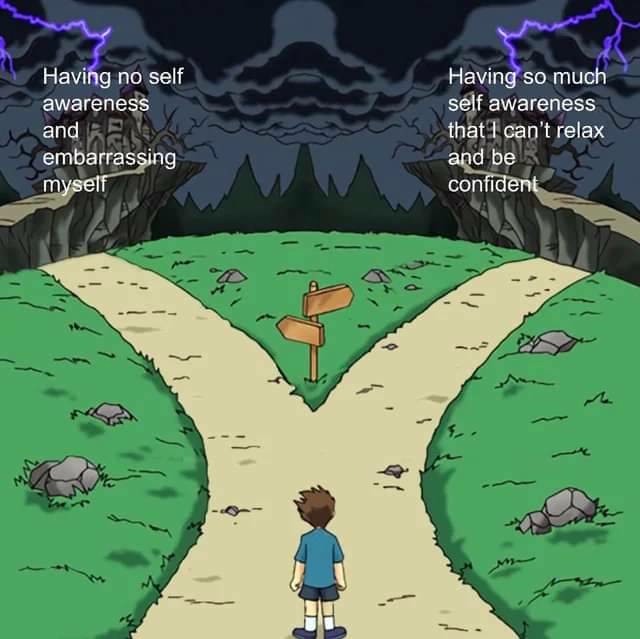 The Two Paths Meme: No Awareness vs Too Much Awareness