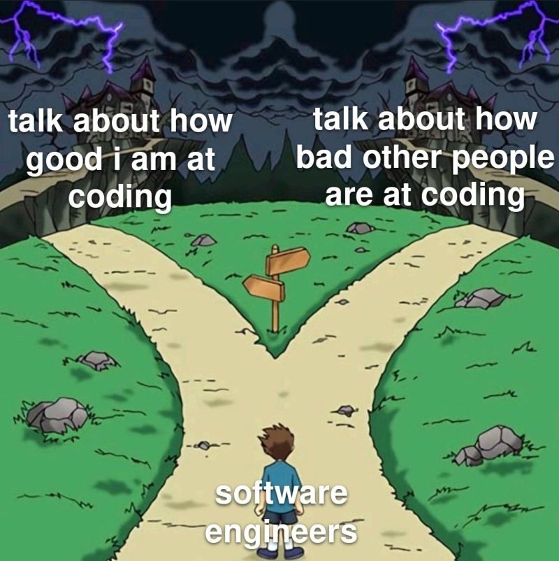 The Two Paths: Software Engineers Dilemma Meme Coding Humor Impostor Syndrome
