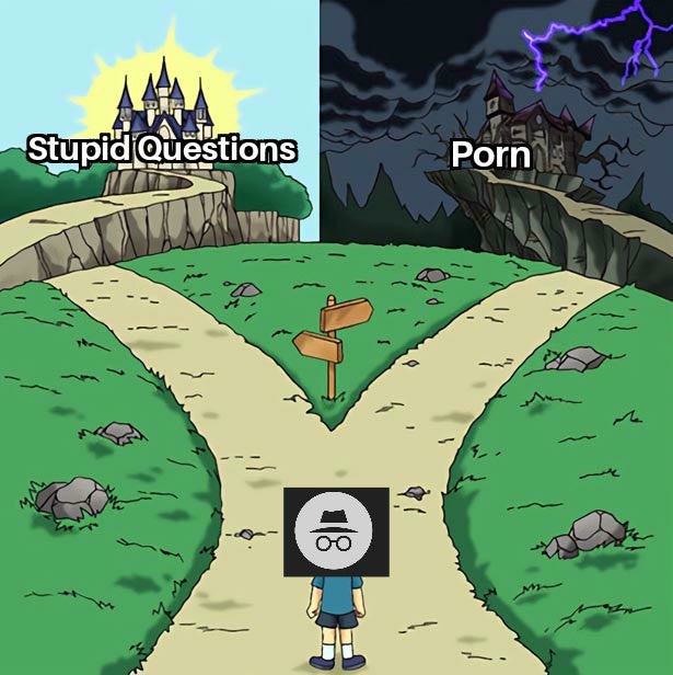 The Two Paths: Stupid Questions vs Porn Meme on Path Choice