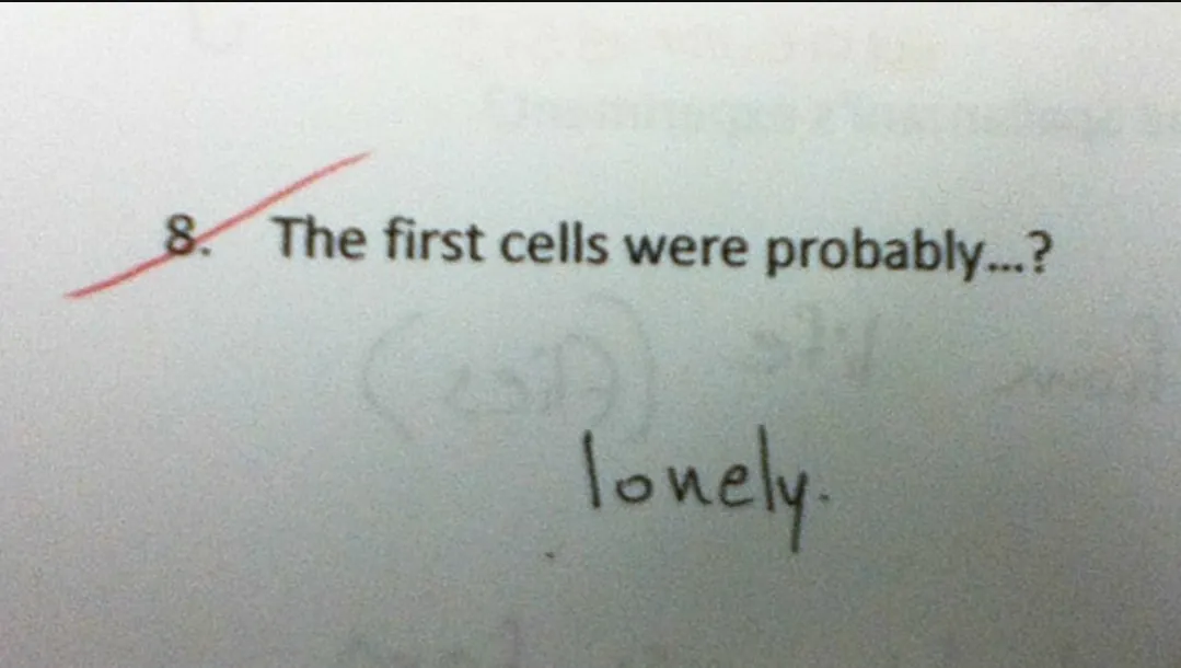 The first cells were probably lonely
