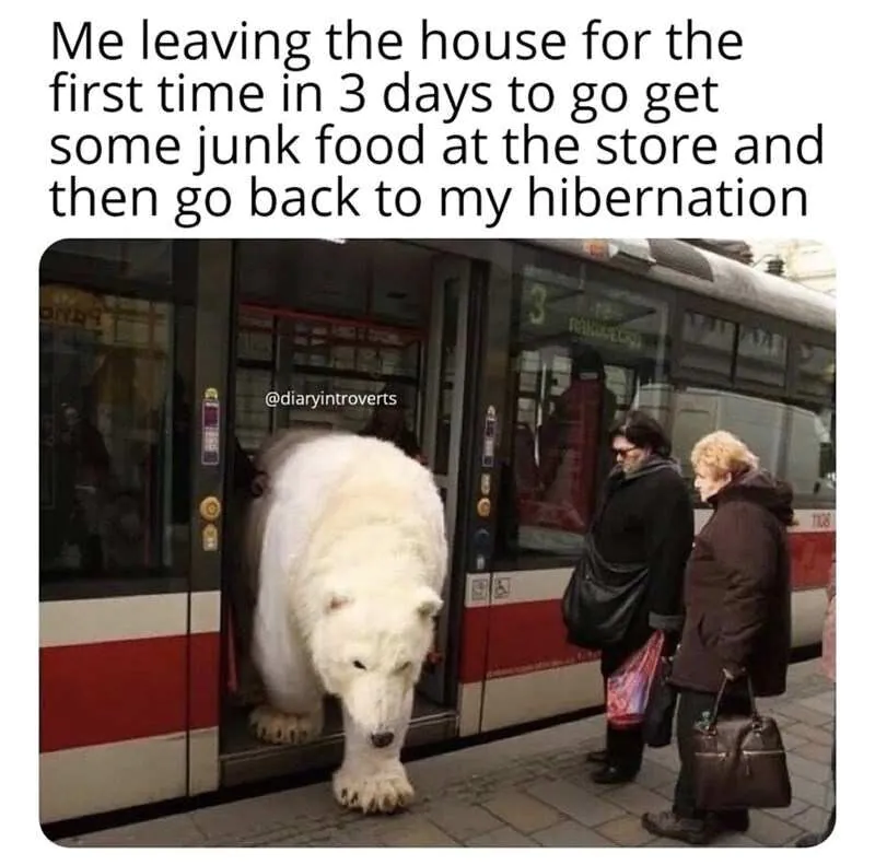 Me leaving the house for the first time in 3 days to go get some junk food at the store and then go back to my hibernation