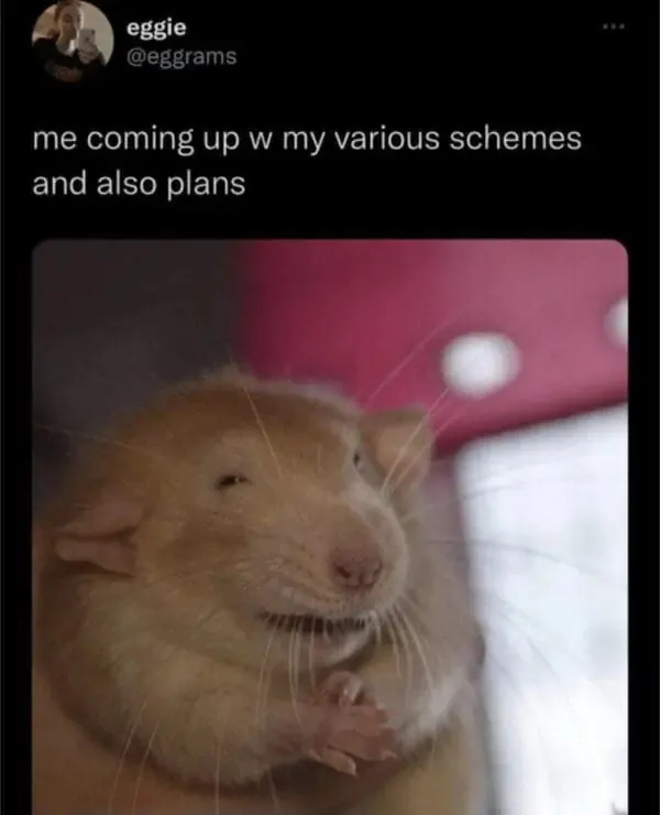 me coming up w my various schemes and also plans