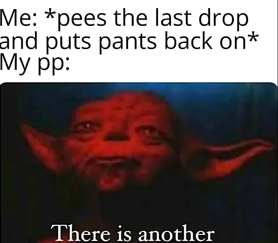 Me: *pees the last drop and puts pants back on* / My pp: There is another