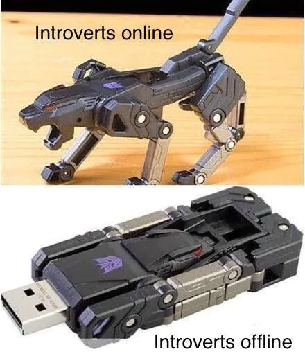 Introverts online / Introverts offline