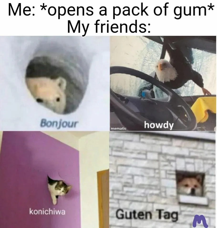 Me: *opens a pack of gum* / My friends: Bonjour / howdy / konichiwa /Guten Tag