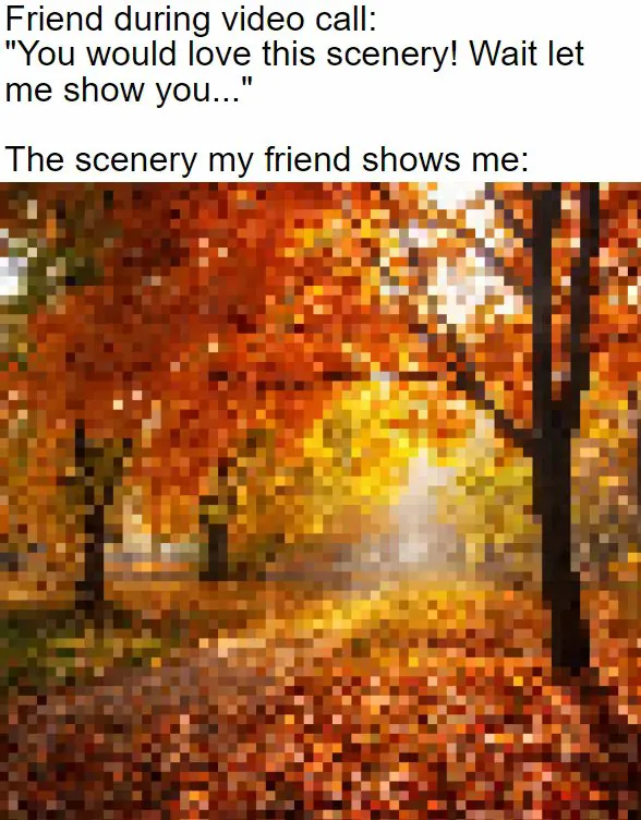 Friend during video call: "You would love this scenery! Wait let me show you..." / The scenery my friend shows me