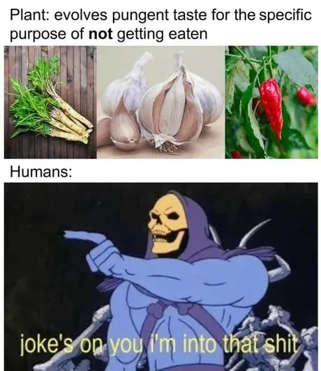 Plant: evolves pungent taste for the specific purpose of not getting eaten / Humans: joke's on you i'm into that shit