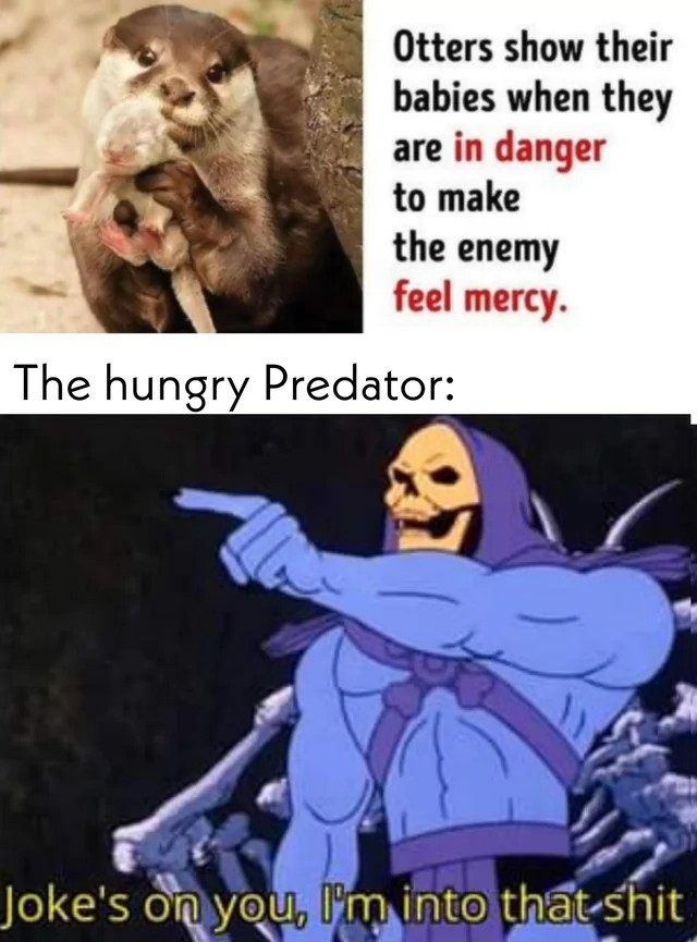 Joke's On You, I'm Into That Shit: Otters Show Babies to Predators