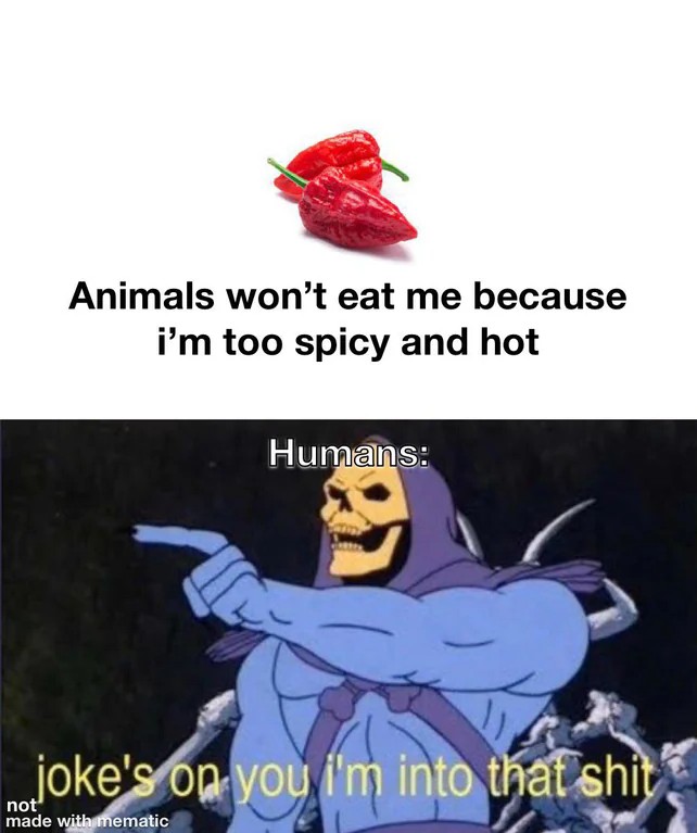 Joke's On You, I'm Into That Shit: Humans Love Spicy Peppers Despite Animals Avoiding Them