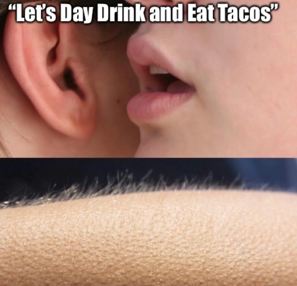 "Let's Day Drink and Eat Tacos”