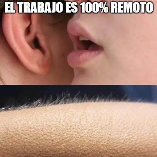 ELTRABAJO ES 100% REMOTO