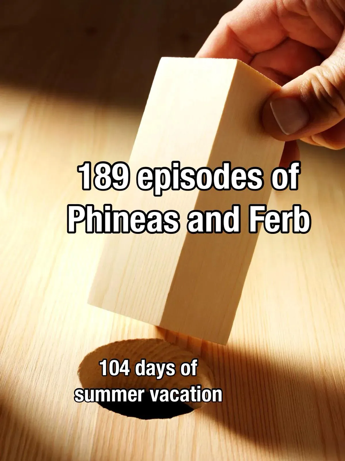 189 episodes of Phineas and Ferb / 104 days of summer vacation