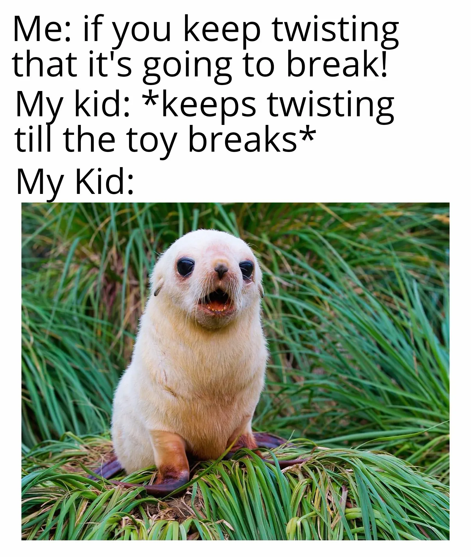 Me: if you keep twisting that it's going to break! My kid: *keeps twisting till the toy breaks* / My Kid