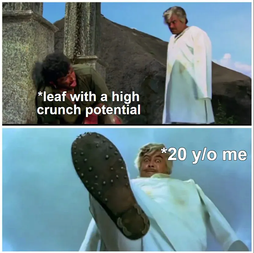 *leaf with a high crunch potential / *20 ylo me