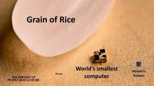 Grain of Rice / THE AMOUNTOF PEOPLE WHO LOVE ME / World's smallest computer / Women's Pockets / My pp