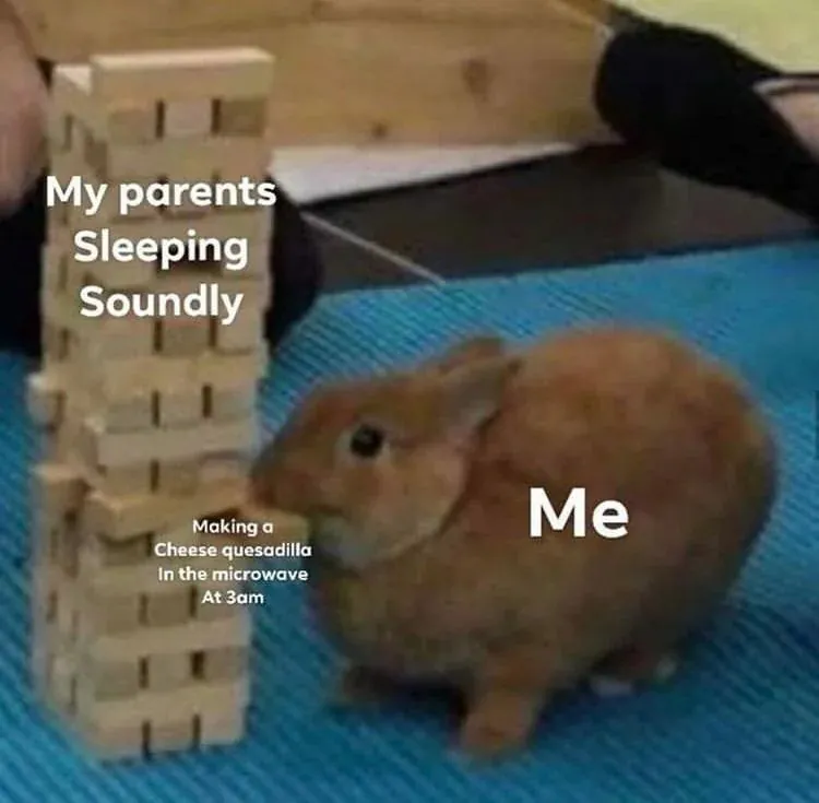 My parents Sleeping Soundly / Making a Cheese quesadilla At 3am In the microwave