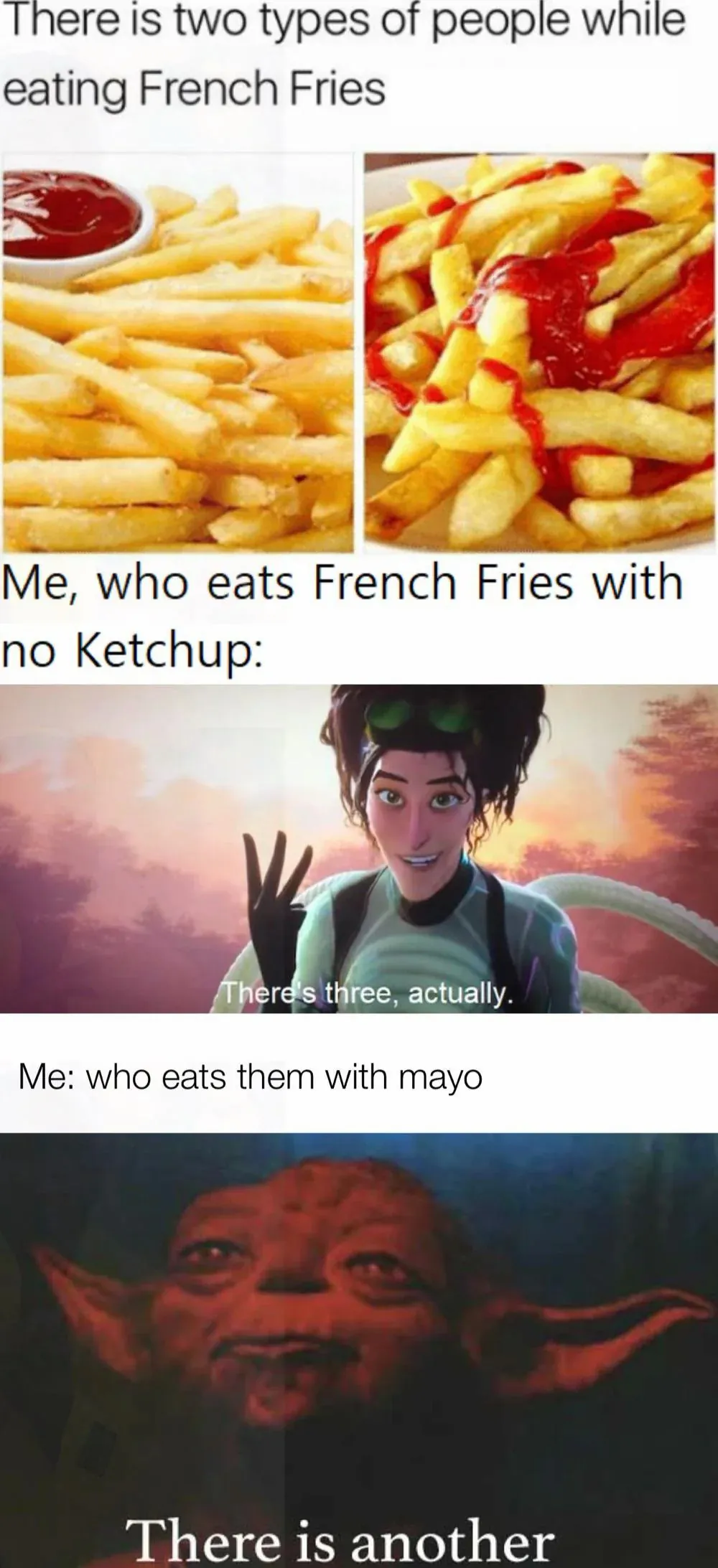 There is two types of people while eating French Fries / Me, who eats French Fries with no Ketchup: There's three, actually. / Me: who eats them with mayo There is another