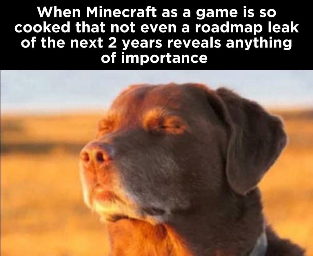 11 Best Dog Accepting Fate Memes The Cooked Dog Against a Sunset11