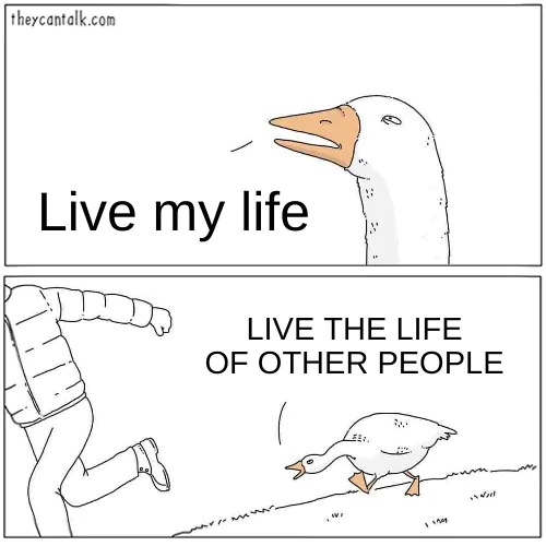 12 Goose Chasing Guy Meme Templates and Their Popular Uses2