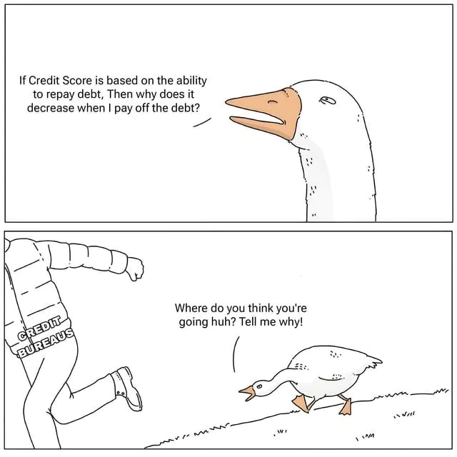 12 Goose Chasing Guy Meme Templates and Their Popular Uses3