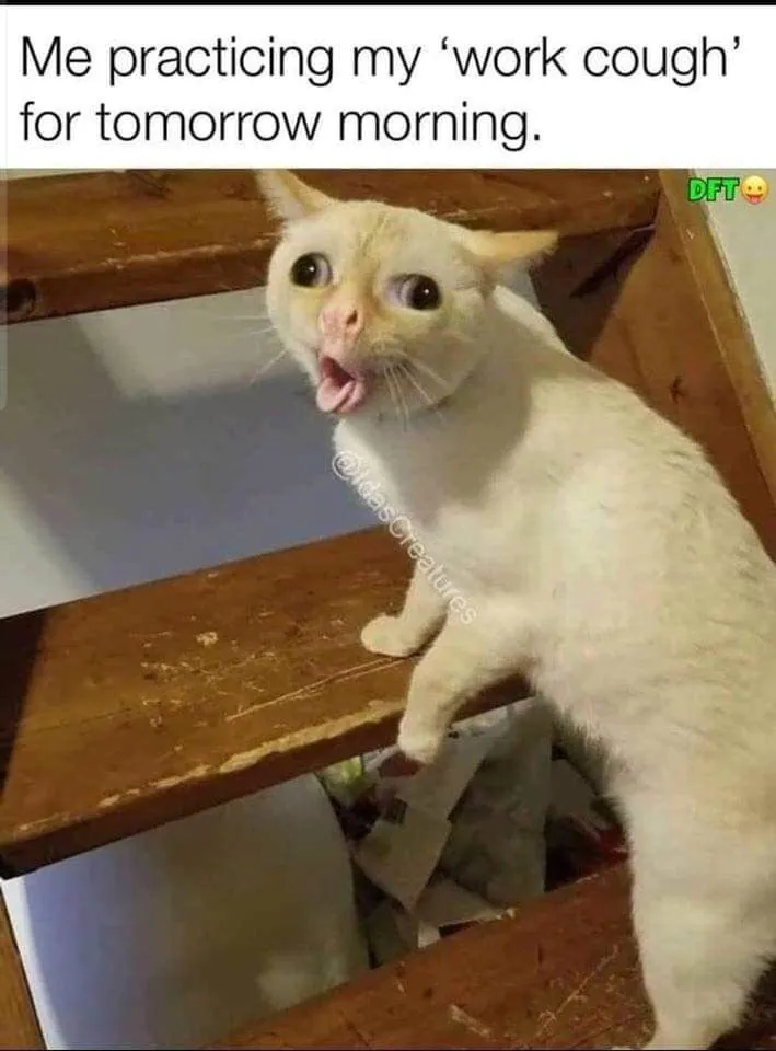 13 Coughing Cat Memes The Best Examples of This Exaggerated Template Across All Themes1