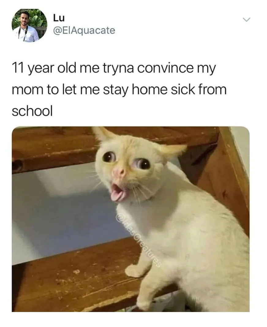 13 Coughing Cat Memes The Best Examples of This Exaggerated Template Across All Themes13