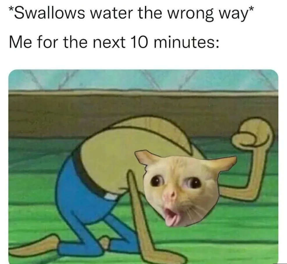 13 Coughing Cat Memes The Best Examples of This Exaggerated Template Across All Themes2