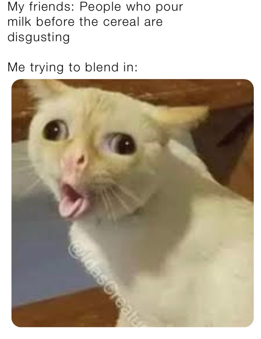 13 Coughing Cat Memes The Best Examples of This Exaggerated Template Across All Themes4