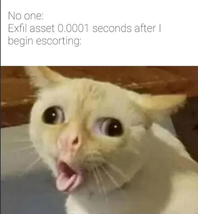 13 Coughing Cat Memes The Best Examples of This Exaggerated Template Across All Themes6