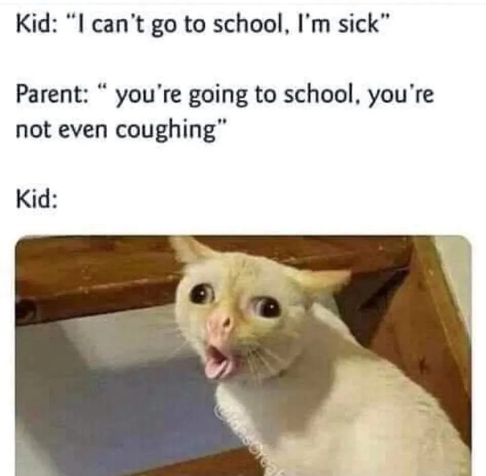 13 Coughing Cat Memes The Best Examples of This Exaggerated Template Across All Themes9