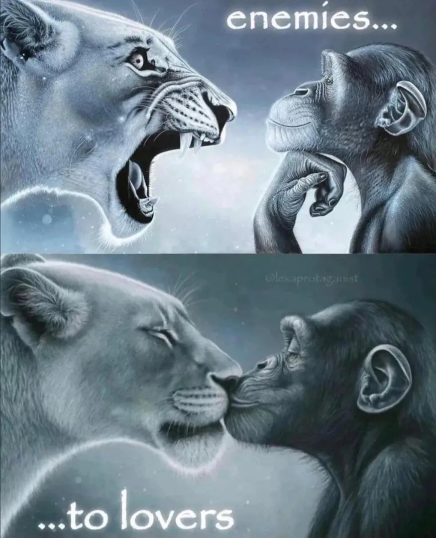 14+ Lion Yelling At Monkey Memes The Best Templates for Unilateral Emotional Output11