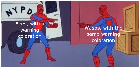 15 Spider-Man Pointing Memes A Visual Logical Tool for Every Standoff12 15 Spider-Man Pointing Memes A Visual Logical Tool for Every Standoff12