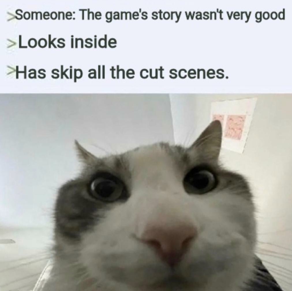 16 Best Cat Looks Inside Memes for That Instant Feeling of Disillusionment15