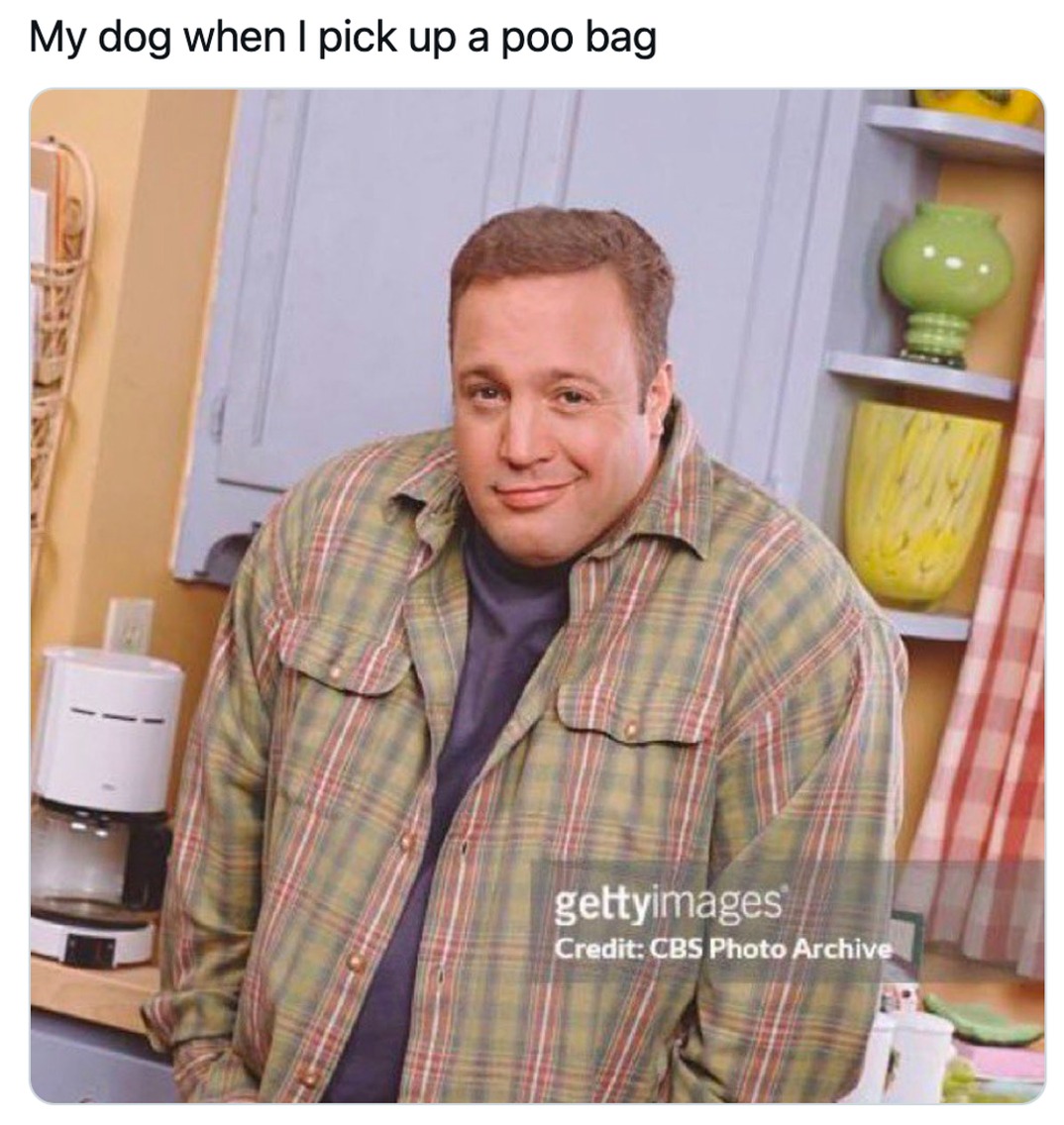 17+ Kevin James Smirking Memes The King of Queens Template for Cheeky Confidence2