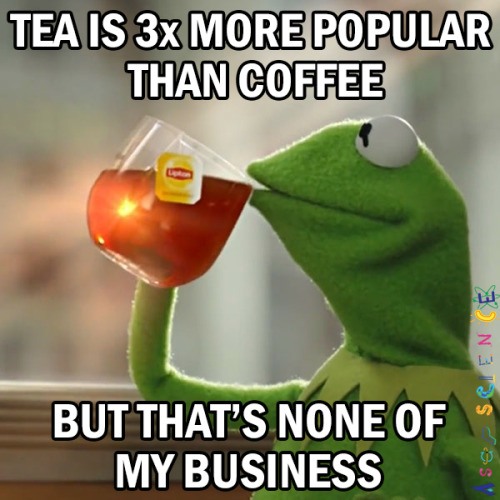17 Relatable Kermit Sipping Tea Memes The Best None of My Business Templates14 17 Relatable Kermit Sipping Tea Memes The Best None of My Business Templates14