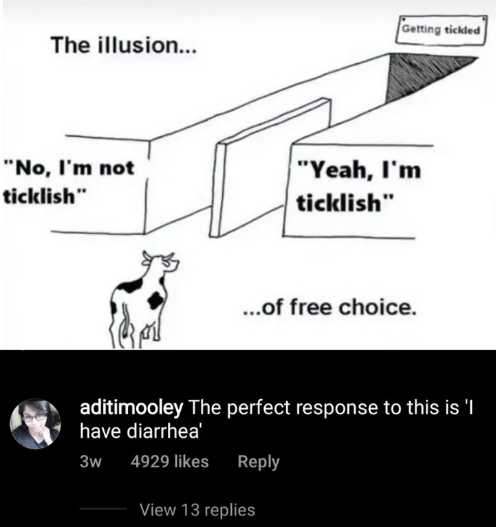 18 Illusion of Choice Meme Examples That Perfectly Explain a False Dilemma17