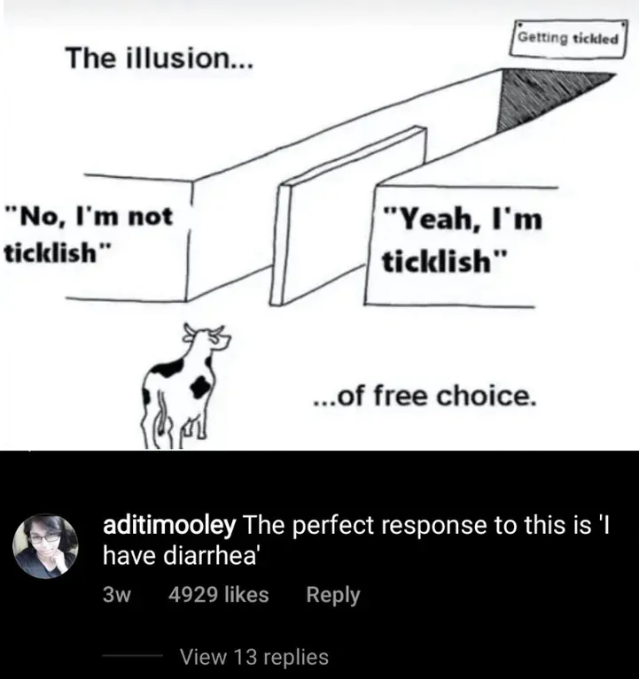 18 Illusion of Choice Meme Examples That Perfectly Explain a False Dilemma17