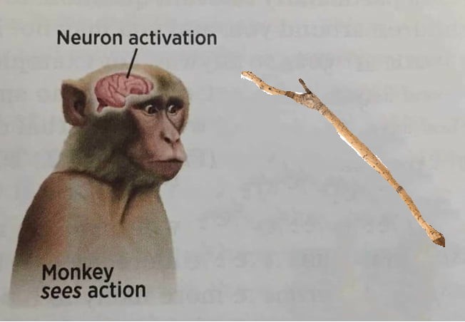 19 Neuron Activation Memes to Trigger Your Instant Dopamine Rush1