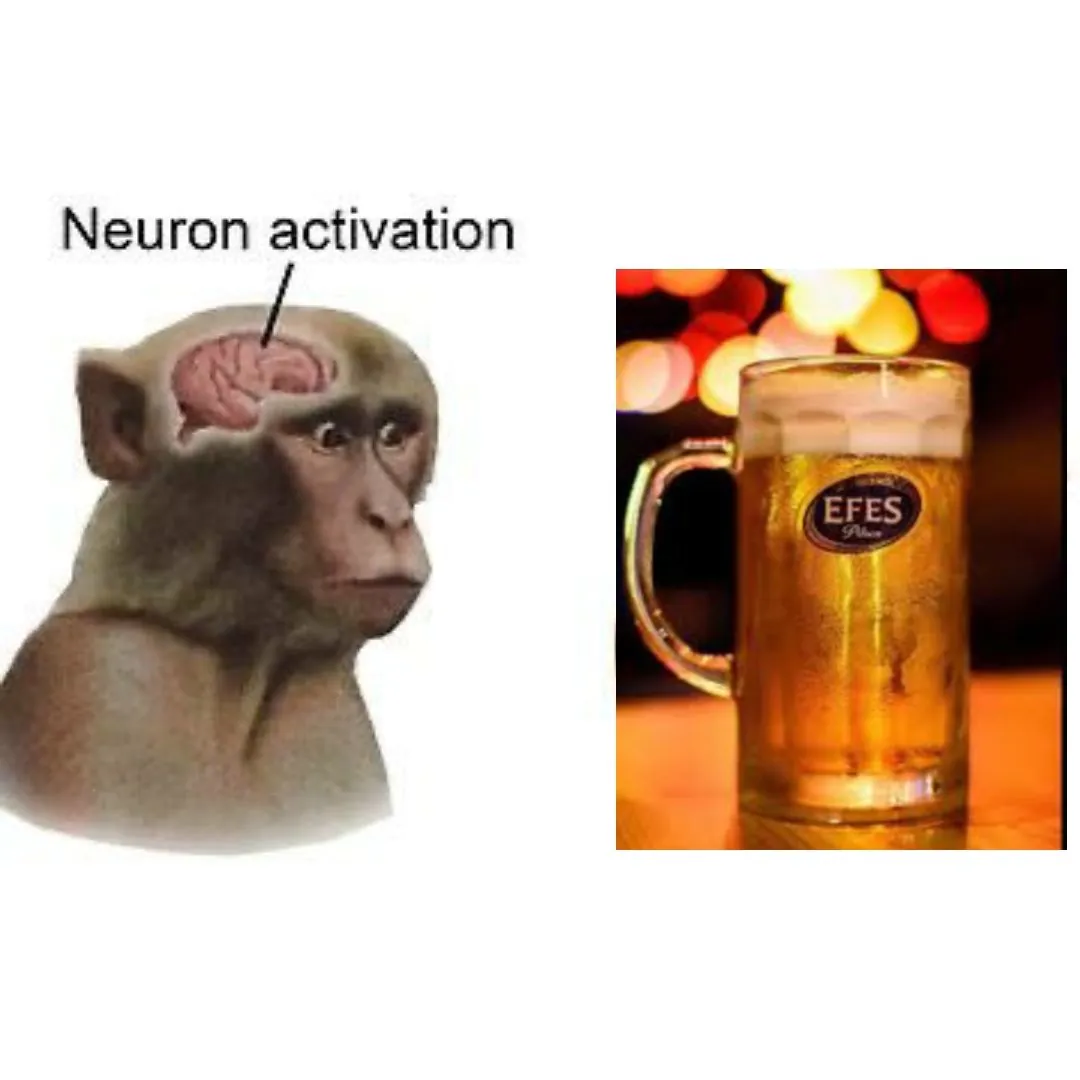 19 Neuron Activation Memes to Trigger Your Instant Dopamine Rush12