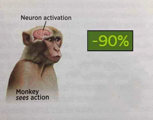 19 Neuron Activation Memes to Trigger Your Instant Dopamine Rush14