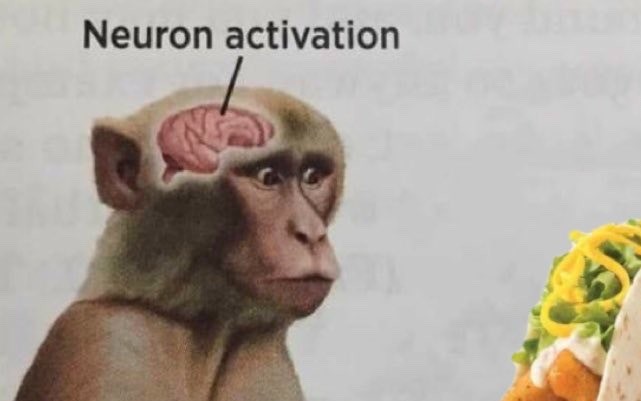 19 Neuron Activation Memes to Trigger Your Instant Dopamine Rush18