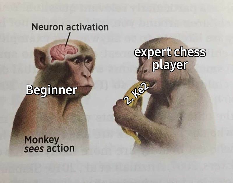 19 Neuron Activation Memes to Trigger Your Instant Dopamine Rush2