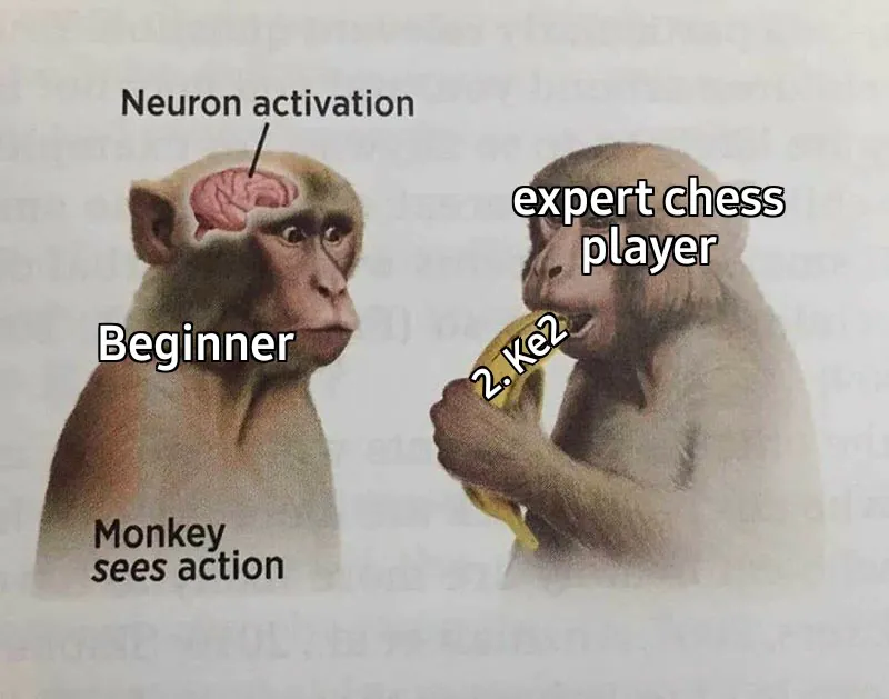 19 Neuron Activation Memes to Trigger Your Instant Dopamine Rush2