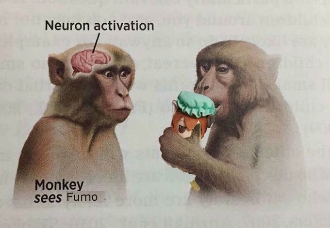 19 Neuron Activation Memes to Trigger Your Instant Dopamine Rush3