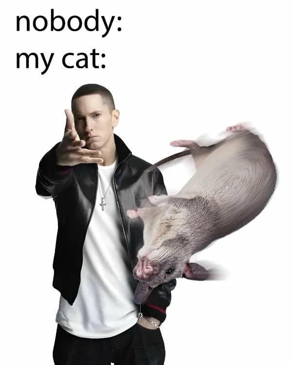 21 Best Eminem Throwing Memes The Woe, Plague Be Upon Ye Shitposting Guide12