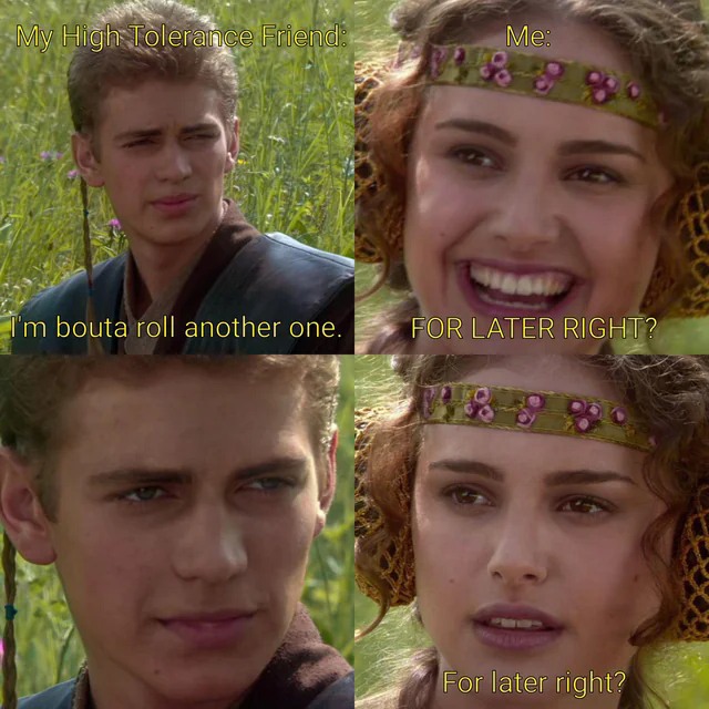 21 Dark-Humored Anakin and Padmé Memes & Blank Templates for Your Next Twist9